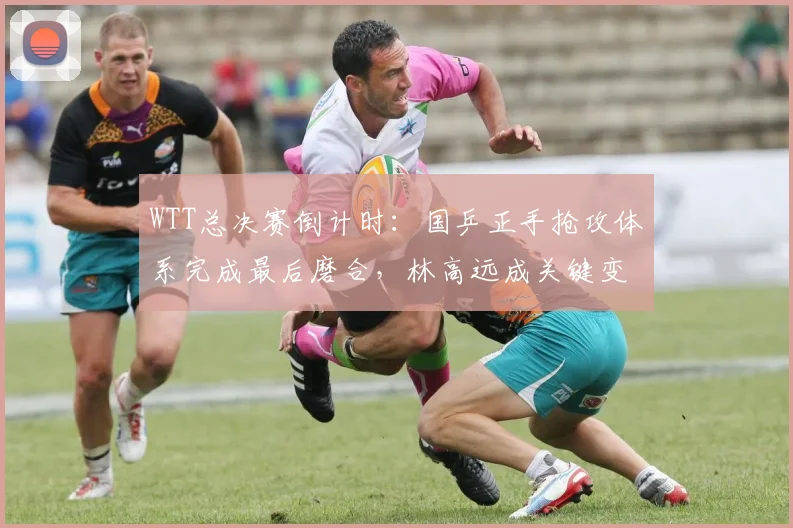WTT总决赛倒计时：国乒正手抢攻体系完成最后磨合，林高远成关键变数