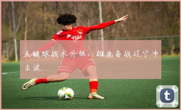 关键球战术升级，雄鹿备战辽宁冲击波