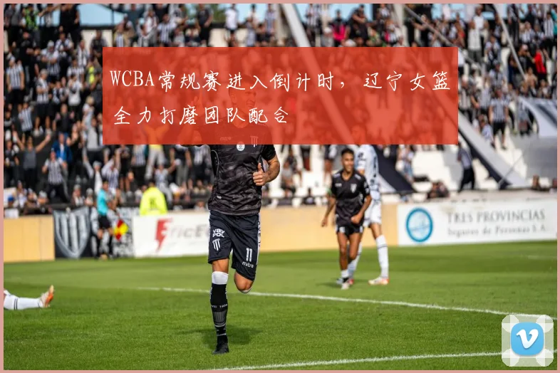 WCBA常规赛进入倒计时，辽宁女篮全力打磨团队配合